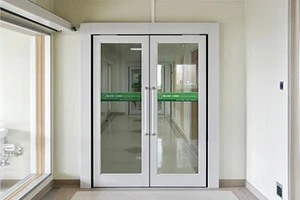 Concealed Automatic Swing Door