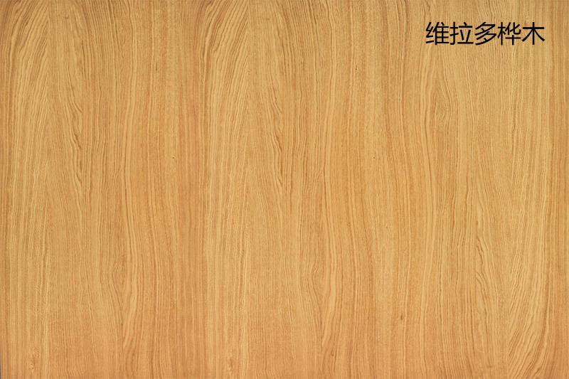 Vilado birch